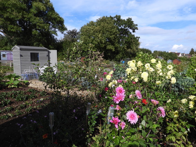 A different view showing shed, flowers and crops.